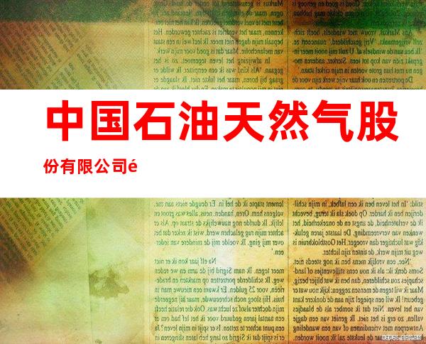 中国石油天然气股份有限公司黑龙江伊春销售分公司龙乡加油站